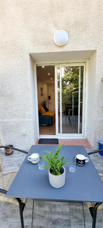 Studio Simone - Terrasse Et Jardin - Tv - Wifi Toulouse Extérieur photo