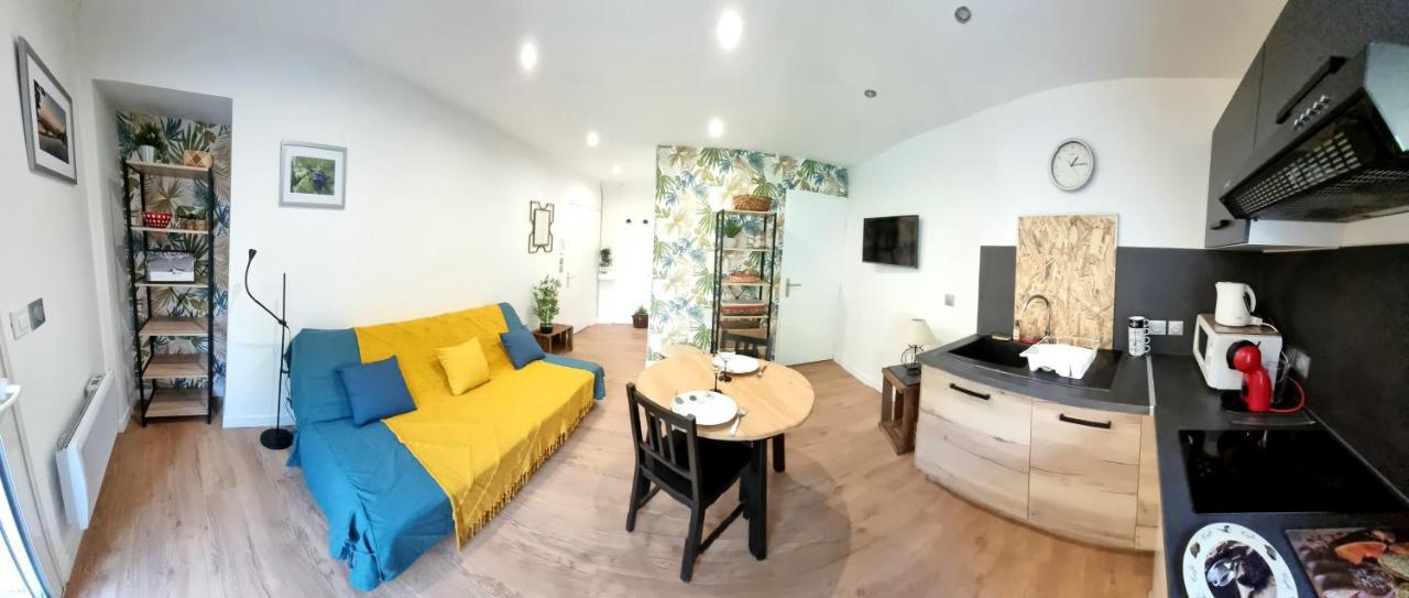 Studio Simone - Terrasse Et Jardin - Tv - Wifi Toulouse Extérieur photo